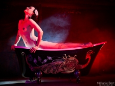 Le Nu : a Valentine's day themed burlesque and variety show by Michelle L'Amour